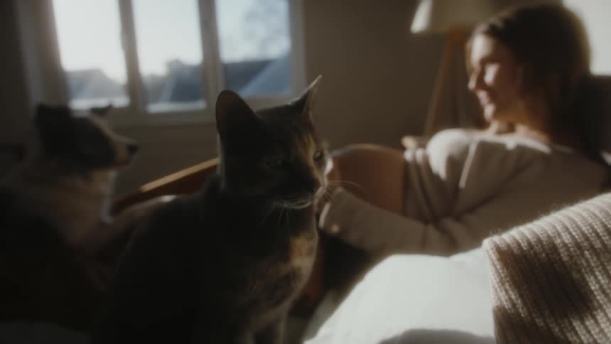 Woman lays in bed and rubs her pregnant belly as a dog and cat sit near her on the bed