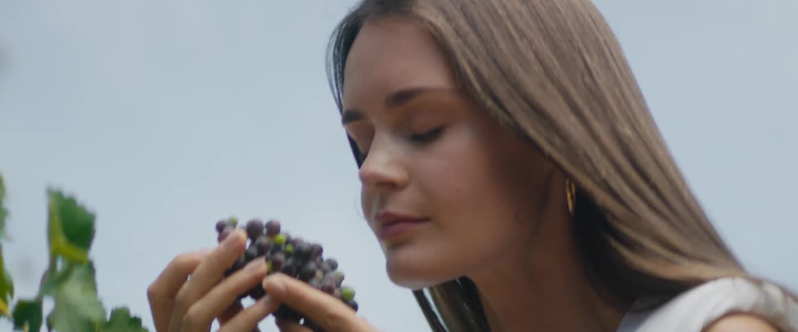Woman with brown straight hair earrings and white blouse smells a bunch of grapes in vineyard