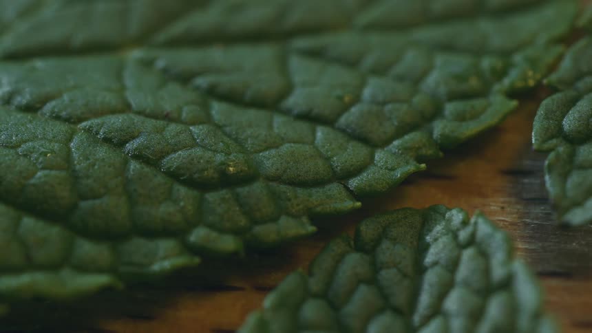 Vapor rises from green leaves laying on wooden surface