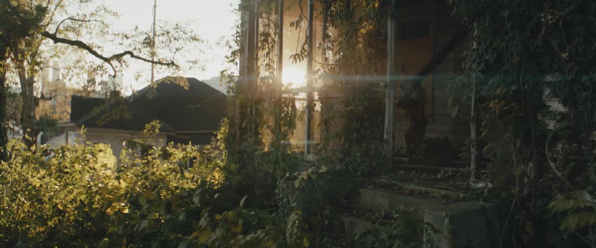 A derelict house covered in overgrown vegetation