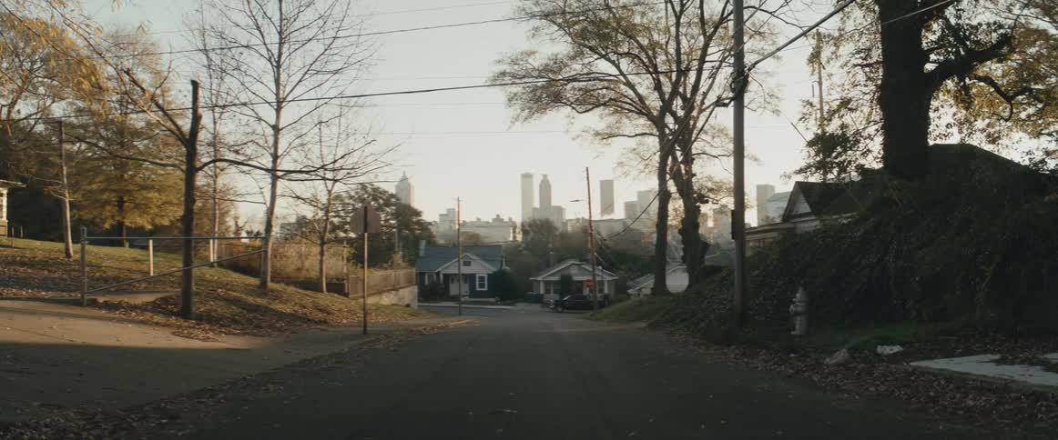 Neighborhood street with a few houses and trees in fall colors and skyscrapers in the distance