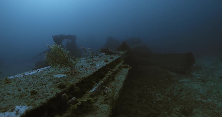 A view of a shipwreck on the floor of the ocean