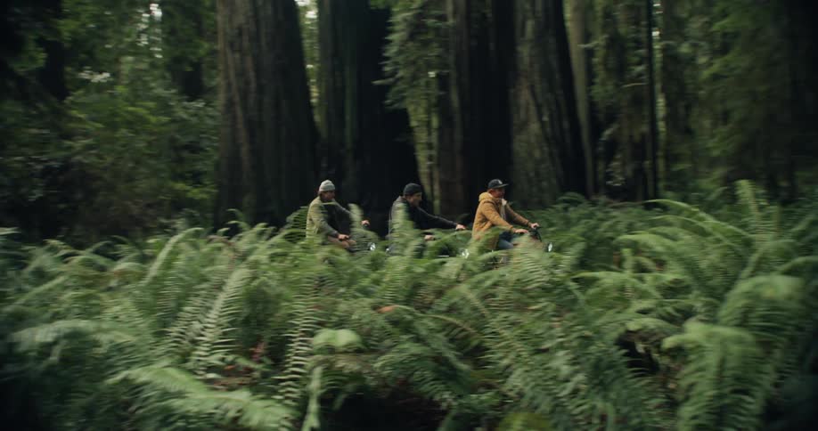 Three people are riding their bikes through a forest