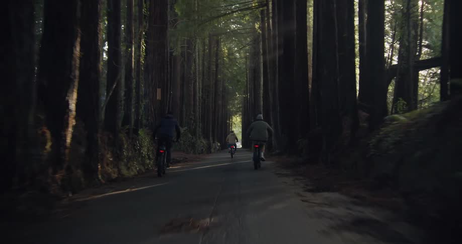 Three people are riding their bikes on a forest road as the sun shines through the trees
