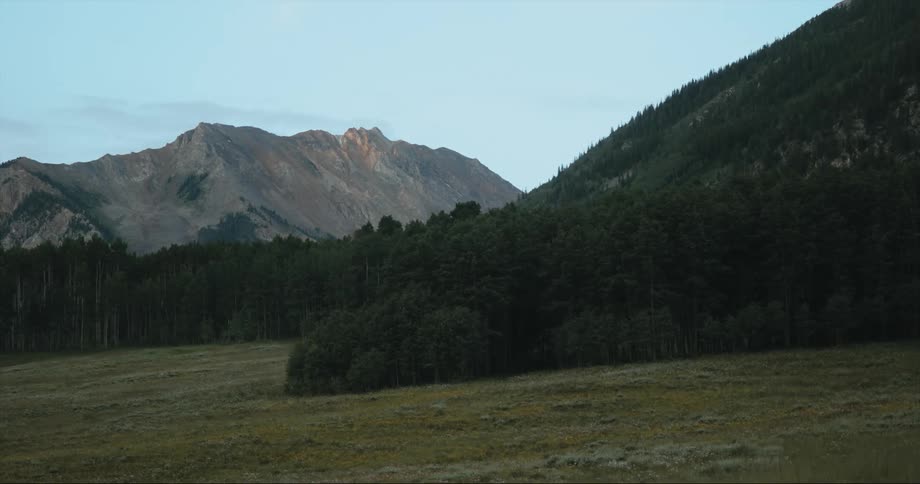 View of forest on hill slope with mountains