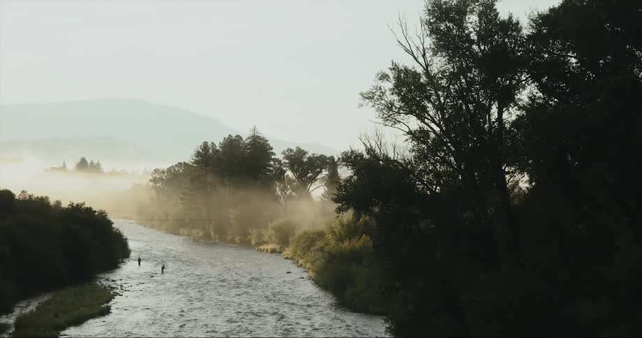 A stream runs through a foggy forest and there is a mountain in the distance