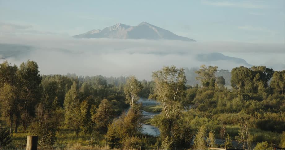 A stream runs through a forest and there is a mountain in the distance high in the clouds