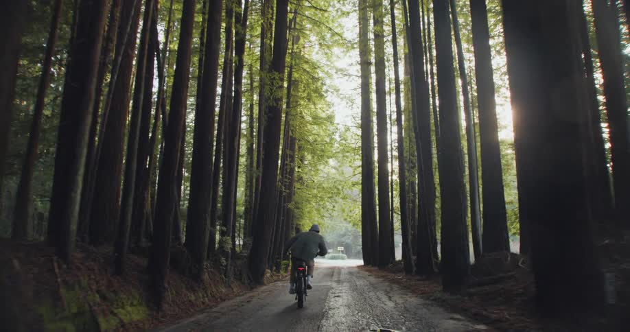 A cyclist rides a bike through a forest road and out into the sunlight