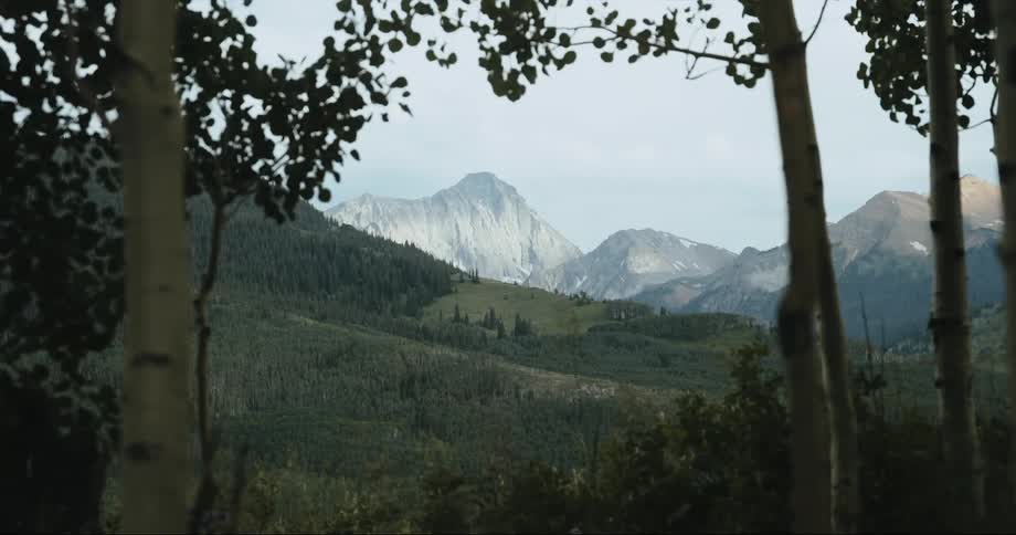 View through trees and over a hill of a mountain range