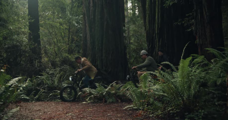 Three people are riding their bikes past tall trees in a forest
