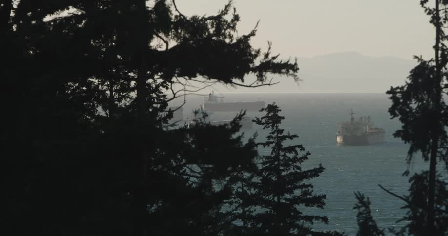 Container ships are seen in the distant ocean through trees blowing in heavy wind