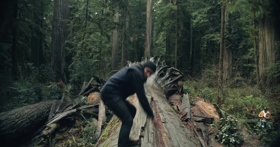 A man falls after running and sliding down a large fallen tree trunk in the woods