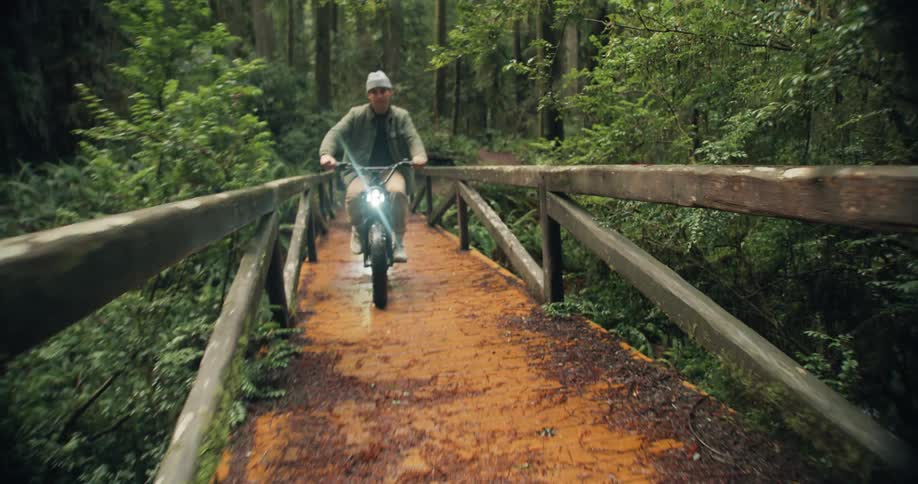 Two men are riding their bicycles across a bridge in a forest