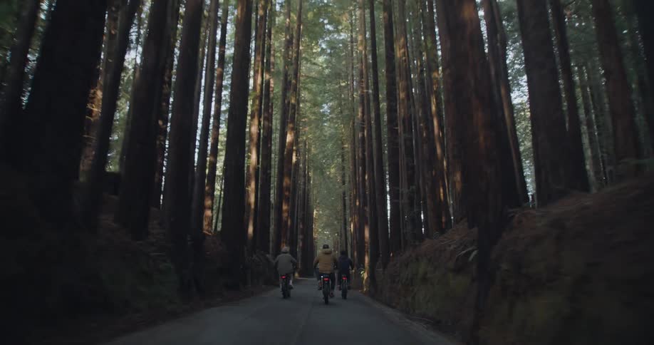 Three people are riding their bikes on a forest road as the sun shines through the trees