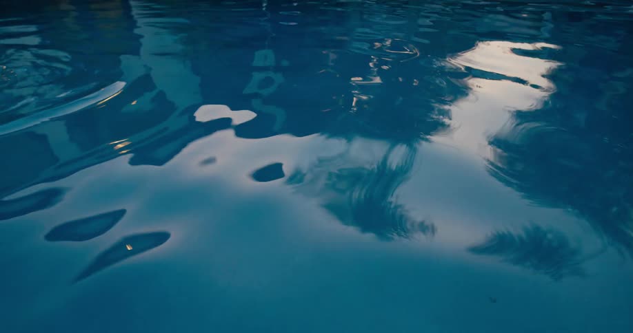 Tall trees reflect in a swimming pool