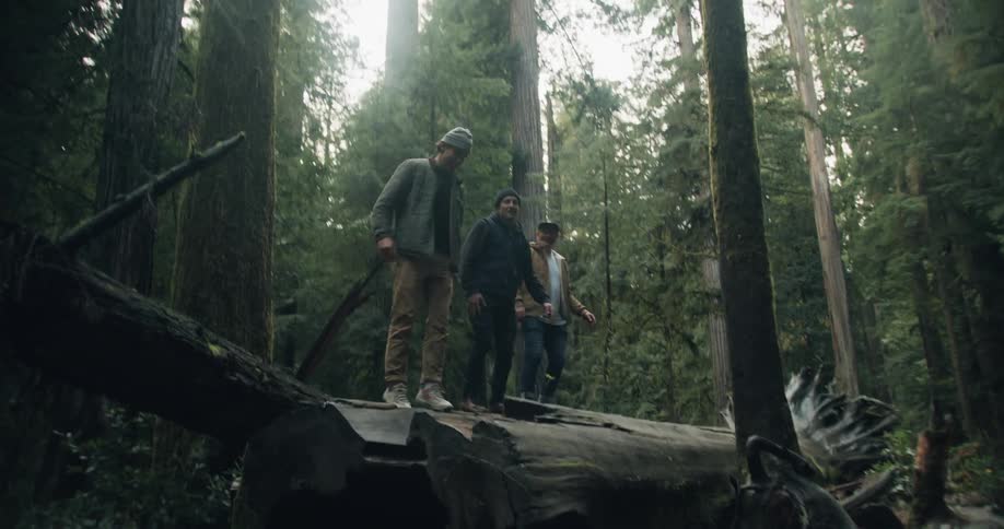 Three friends jumping on top of a fallen tree trunk in the middle of a forest