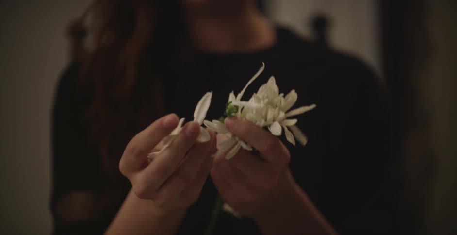 Woman ripping up flower pedals
