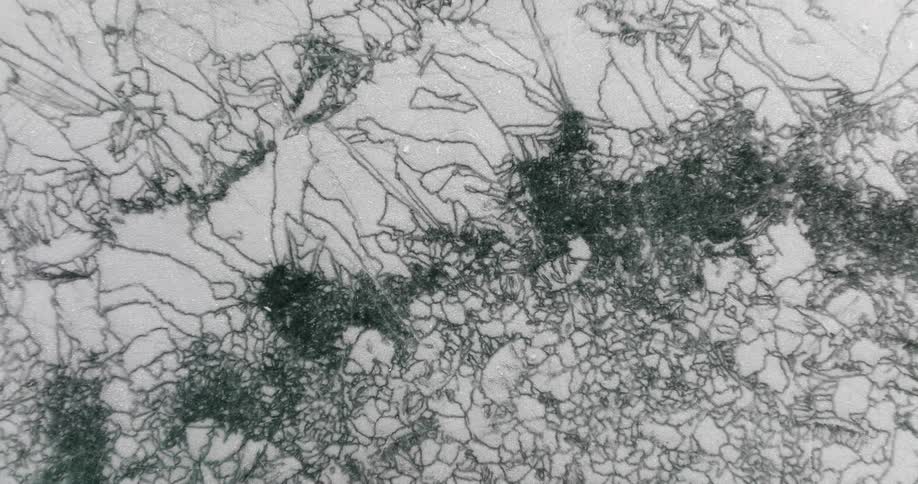The white area is covered with black shapes