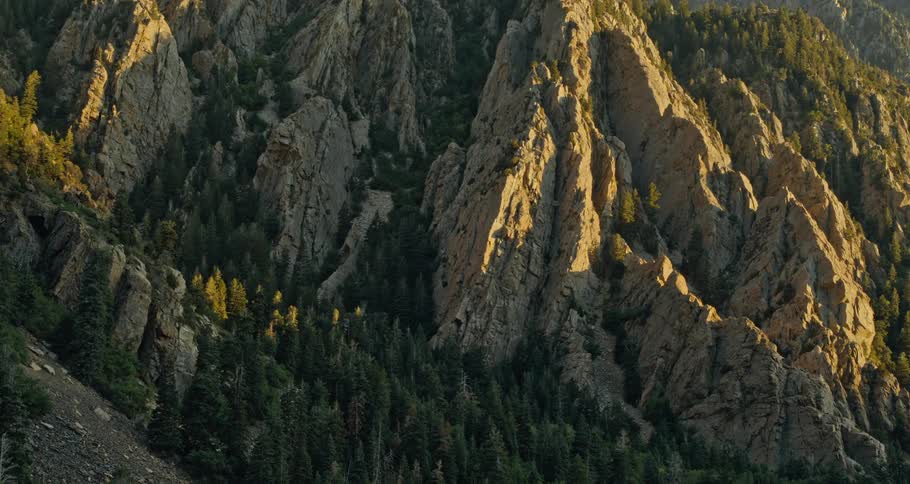 A bird flies above a jagged mountain slope and trees