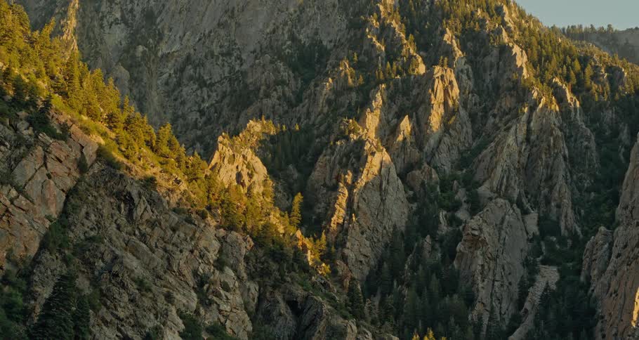 Conifer forest covers slides of rugged mountains