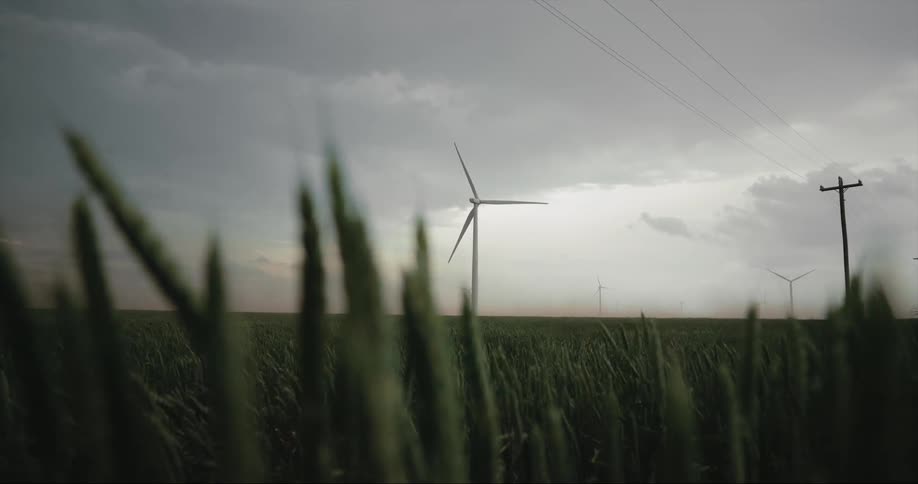 Dark clouds fill the sky over a grassland with wind turbines