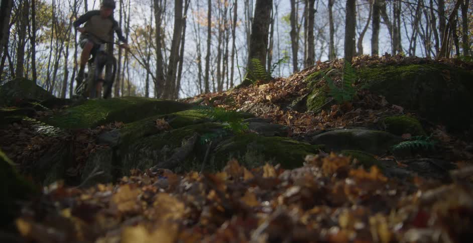 A man rides a mountain bike on a bumpy trail in the woods