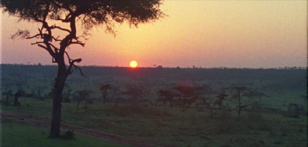 A man uses his smartphone to take a photo of the sunset over a rural field