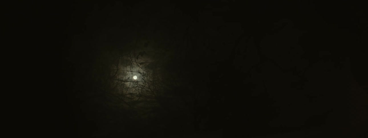 The moon glowing in a dark night sky