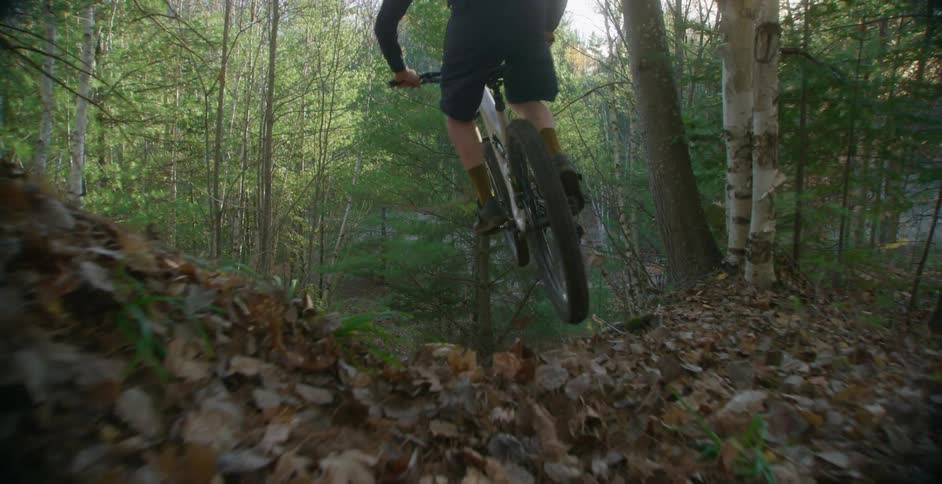 A male rides his bike down a hill in a forest covered in fall leaves