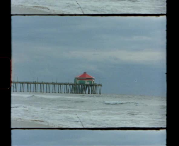 A view of a bird flying at the beach