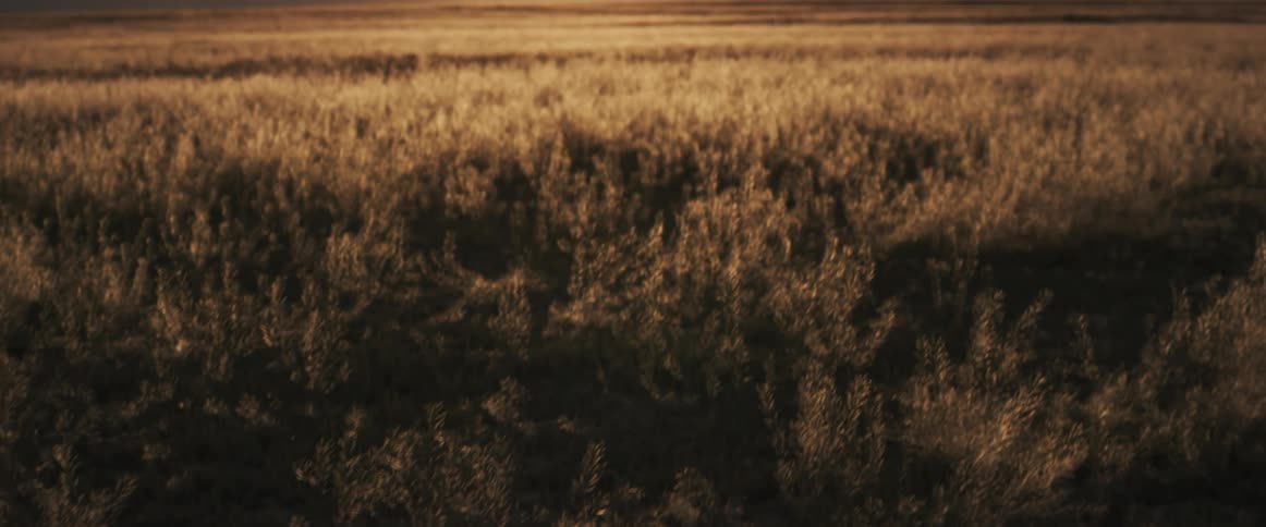 The sun shines brightly over a mountain and on a field of crops on a farm