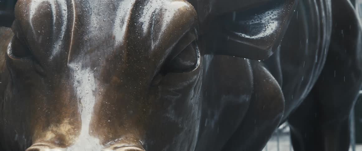 A bronze statue of a bull outdoors on a rainy day