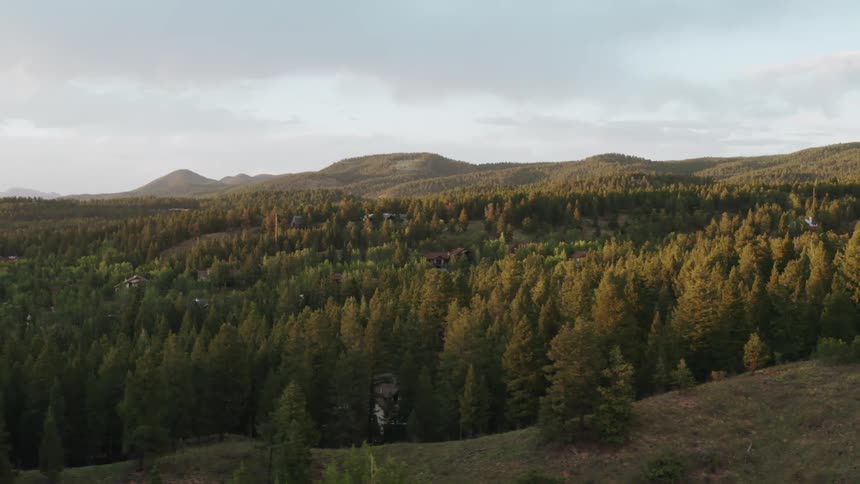 Homes in a rural area covered in trees with hills on the horizon