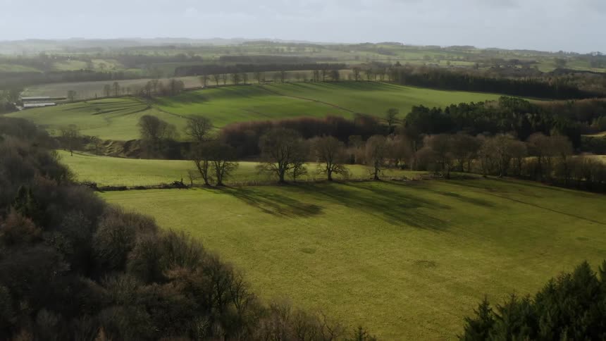 Aerial of a forest with a field