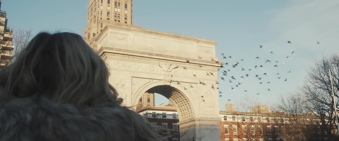 The birds fly under the arch in the city