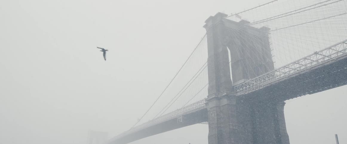 Snow falls as a bird flies past a bridge and above boats parked in the water