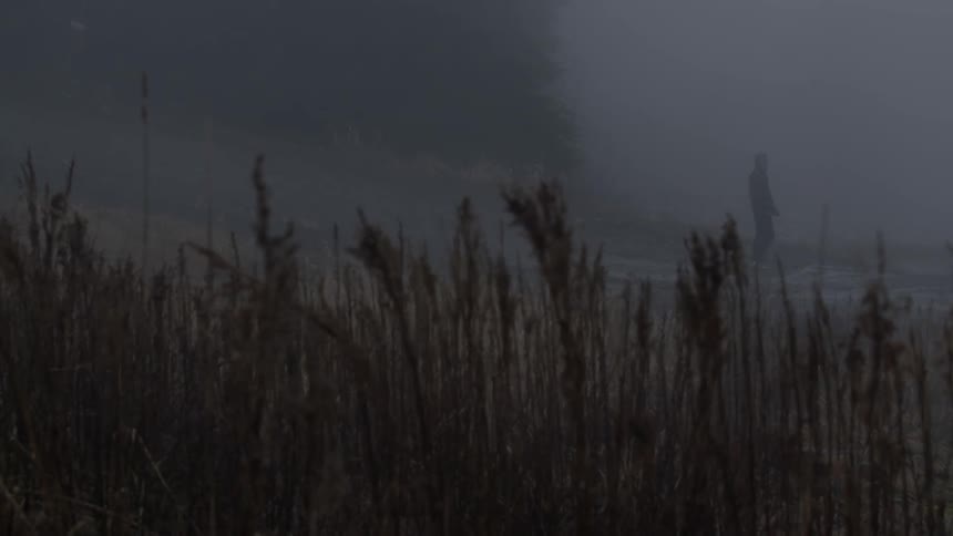 A figure walking in the background on a cloudy day as tall grasses bend in the breeze in the foreground