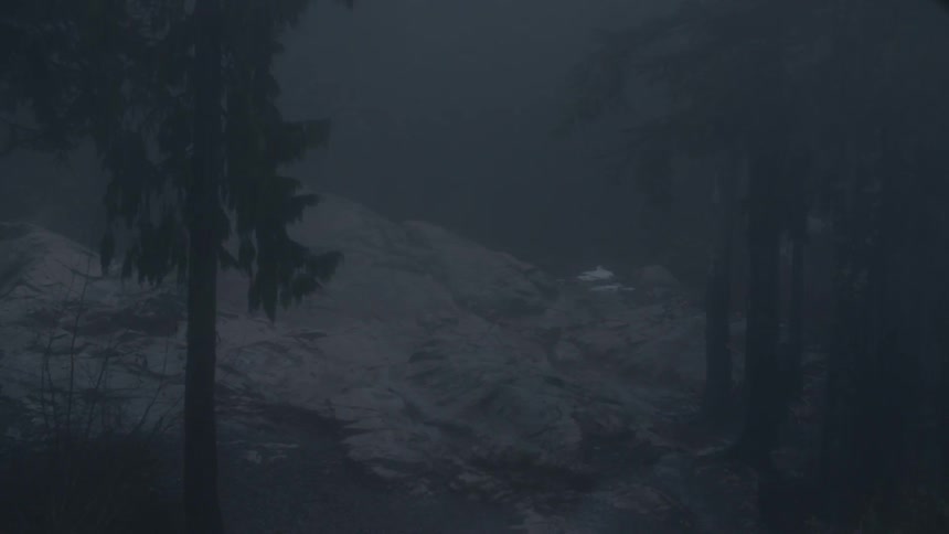 Man In Fog