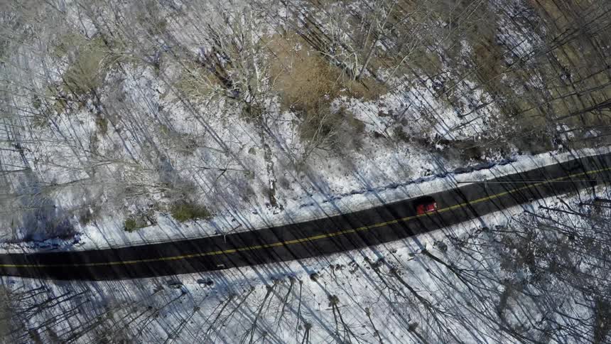 A car turns onto a road lined with trees