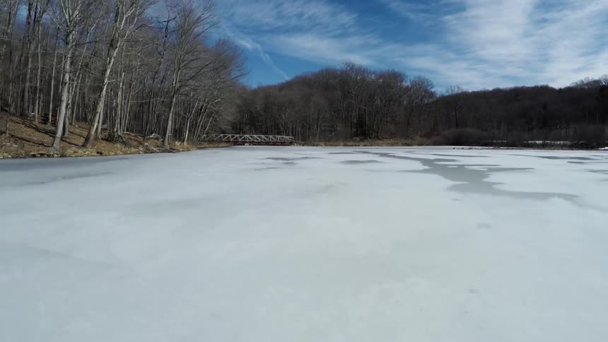 Frozen Pond