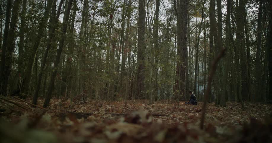 Large dense woods have dead leaves all over the ground