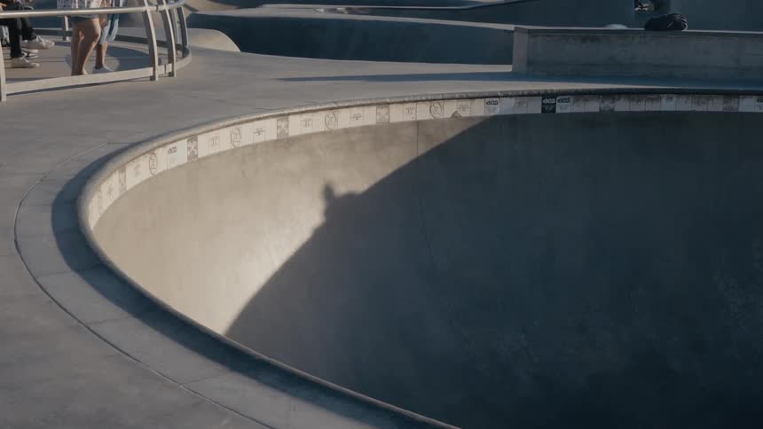 A pit bull terrier runs around the edge of a skate park bowl as her owner skateboards