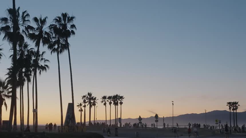People walking on a beach with tall silhouetted palm trees at sunset