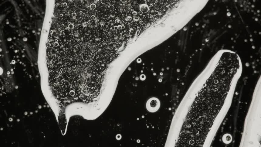 Bubbles with white outlines are moving inside a larger liquid bubble and some are in the black area