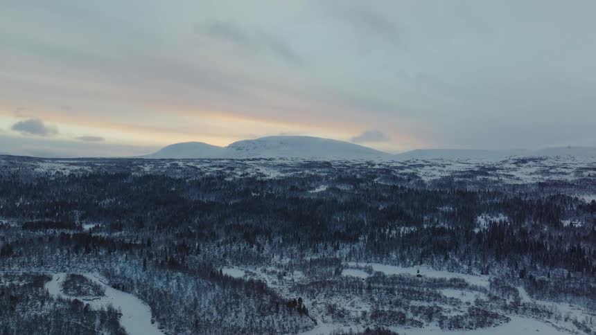 An aerial view of a forest covered in snow