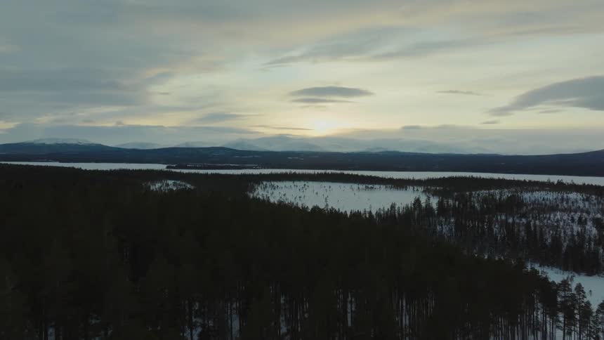 Aerial view of snowy forest at dusk