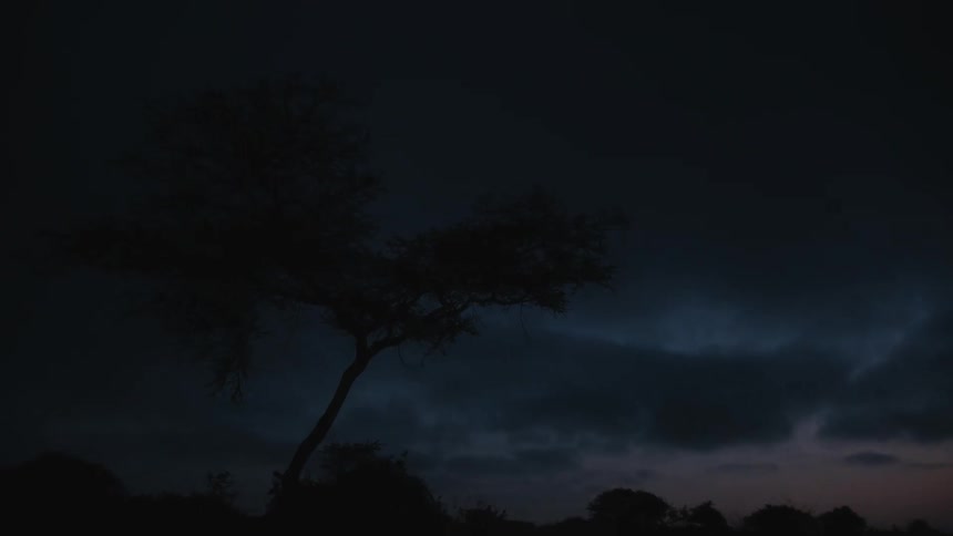 Dark storm clouds over a landscape with trees and bushes