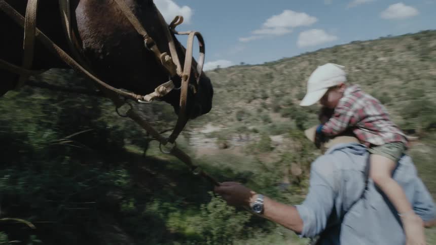 A man with a child on his shoulders leads a horse down a hill
