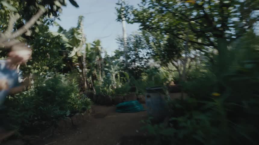 A young boy runs through a garden and laughs as his mother chases him
