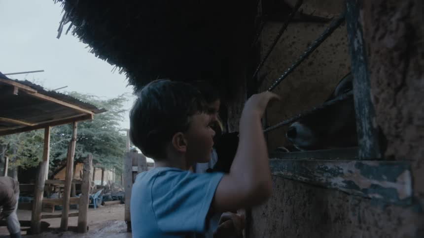 A boy and girl pet a cow behind a wire fence in a hut